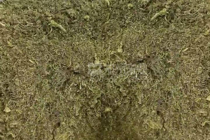 牧草烘干機(jī)如何科學(xué)選型？牧草烘干過(guò)程中營(yíng)養(yǎng)成分會(huì)流失嗎